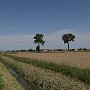 ParcoAgricoloSudMilano-25.jpg